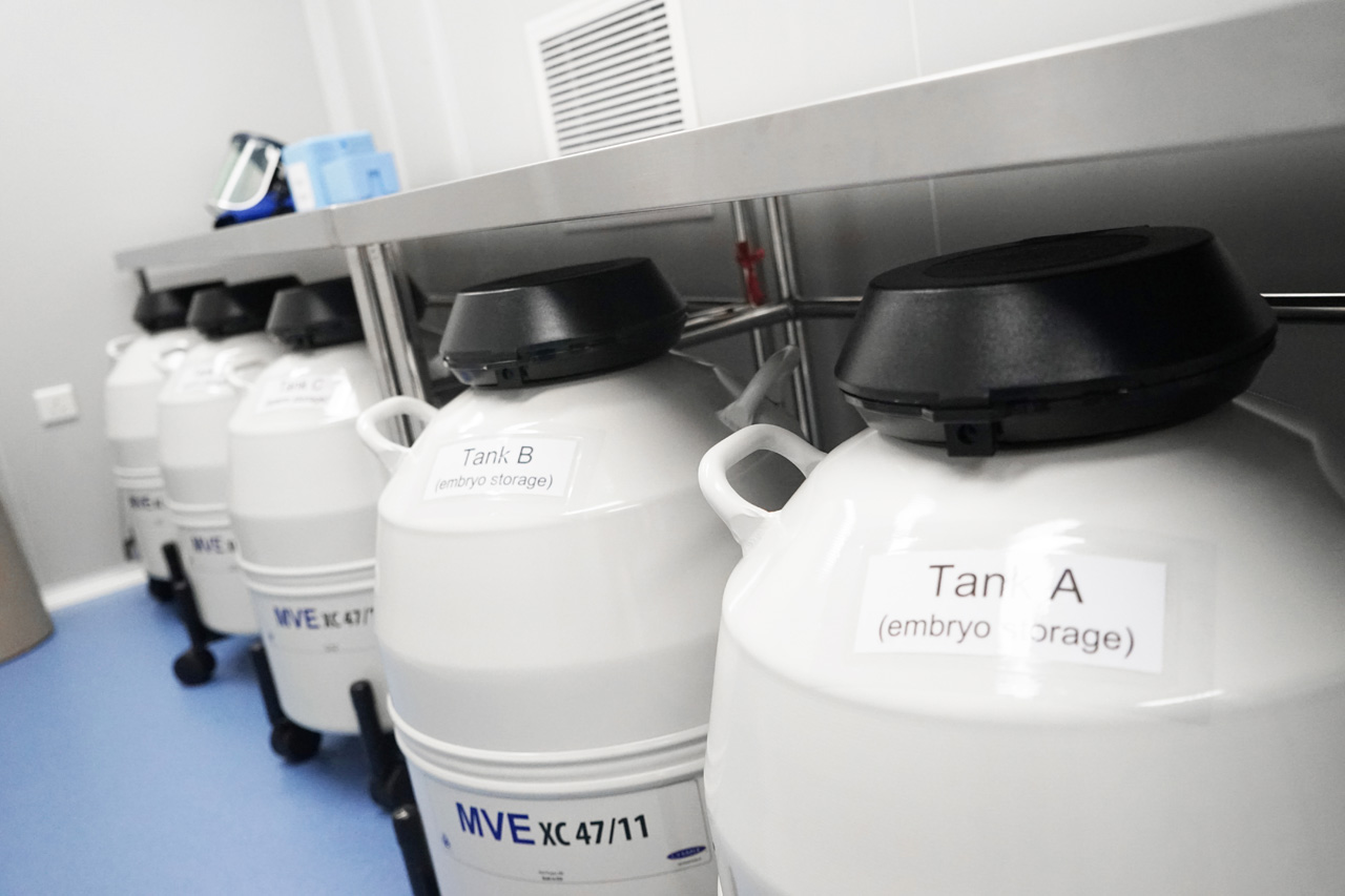 Frozen Gametes and Embryos Storage Room